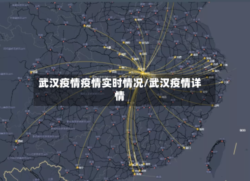 武汉疫情疫情实时情况/武汉疫情详情-第3张图片