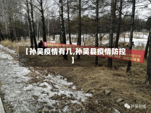 【孙吴疫情有几,孙吴县疫情防控】