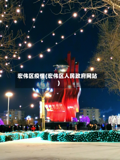 宏伟区疫情(宏伟区人民政府网站)