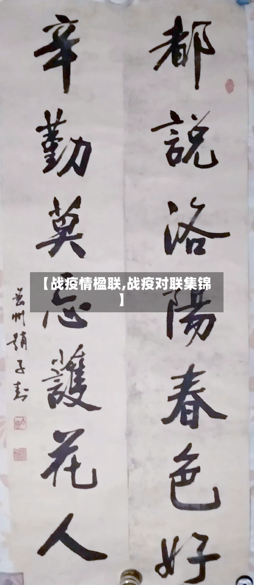 【战疫情楹联,战疫对联集锦】-第3张图片