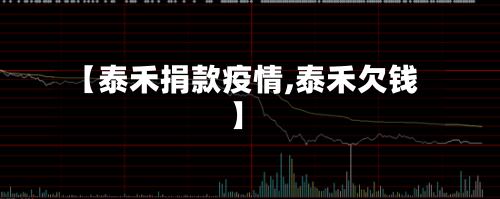 【泰禾捐款疫情,泰禾欠钱】