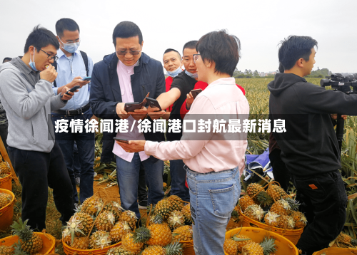 疫情徐闻港/徐闻港口封航最新消息