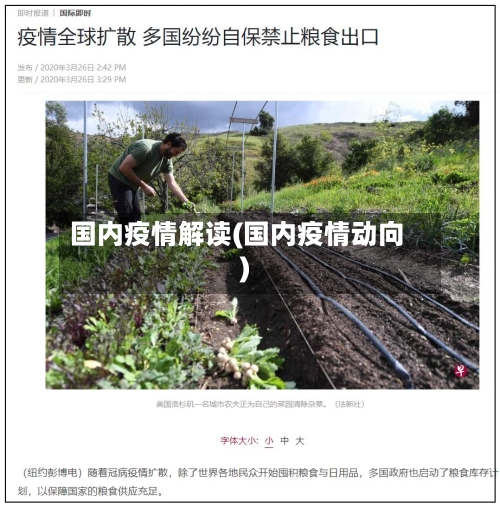 国内疫情解读(国内疫情动向)