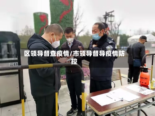区领导督查疫情/市领导督导疫情防控