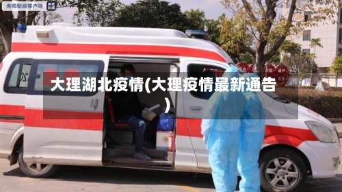大理湖北疫情(大理疫情最新通告)-第2张图片