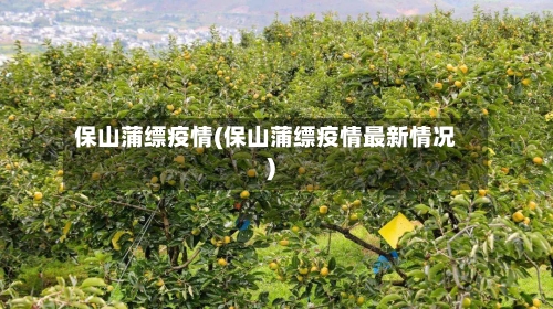 保山蒲缥疫情(保山蒲缥疫情最新情况)-第3张图片