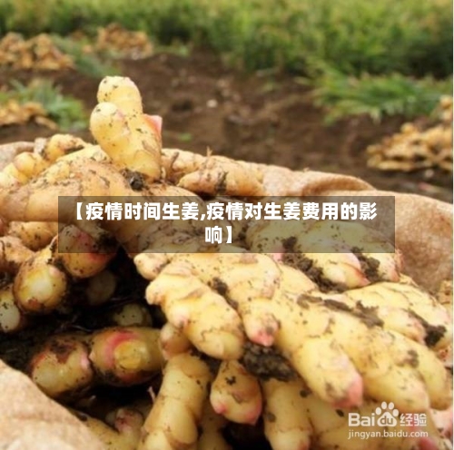 【疫情时间生姜,疫情对生姜费用的影响】-第2张图片