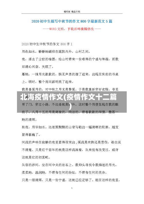 北海疫情作文(疫情作文十二篇)-第2张图片