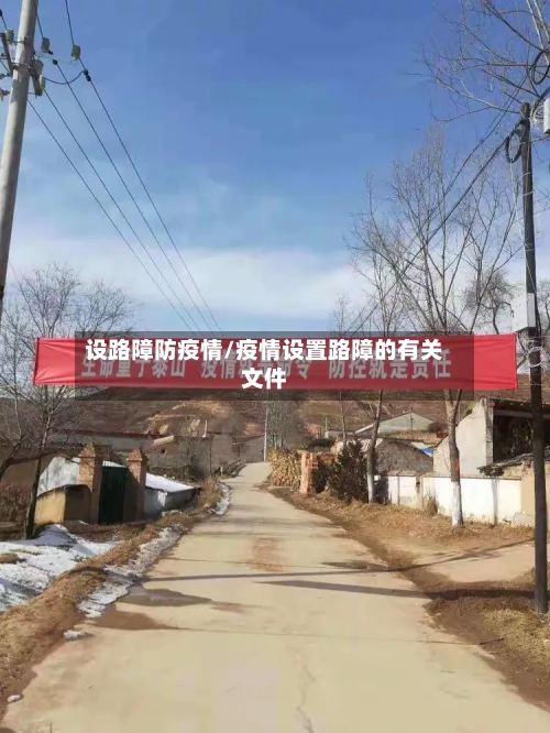 设路障防疫情/疫情设置路障的有关文件