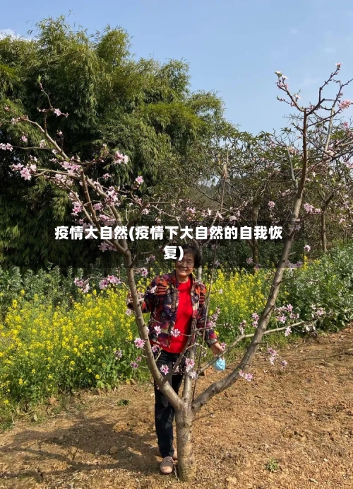 疫情大自然(疫情下大自然的自我恢复)-第2张图片