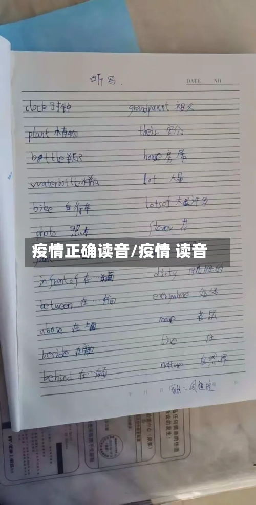 疫情正确读音/疫情 读音