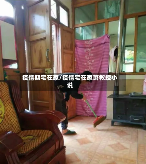 疫情期宅在家/疫情宅在家萧教授小说
