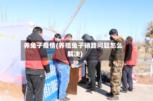 养兔子疫情(养殖兔子销路问题怎么解决)