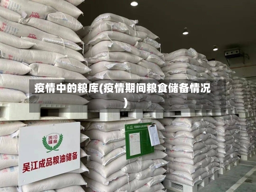 疫情中的粮库(疫情期间粮食储备情况)