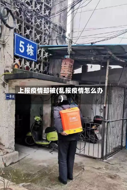 上报疫情却被(乱报疫情怎么办)-第2张图片
