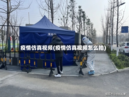 疫情仿真视频(疫情仿真视频怎么拍)-第2张图片