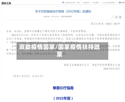 资助疫情国家/国家疫情扶持政策