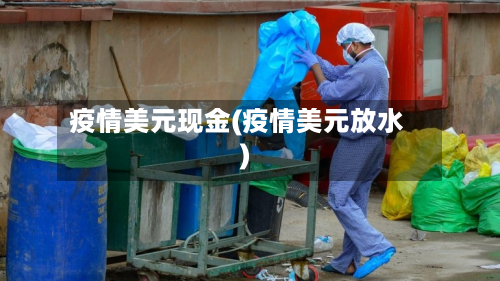 疫情美元现金(疫情美元放水)