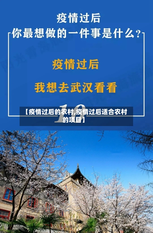 【疫情过后的农村,疫情过后适合农村的项目】-第2张图片