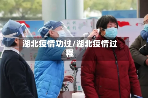 湖北疫情功过/湖北疫情过程