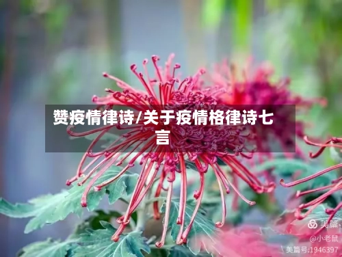 赞疫情律诗/关于疫情格律诗七言-第3张图片