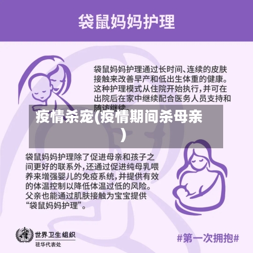疫情杀宠(疫情期间杀母亲)