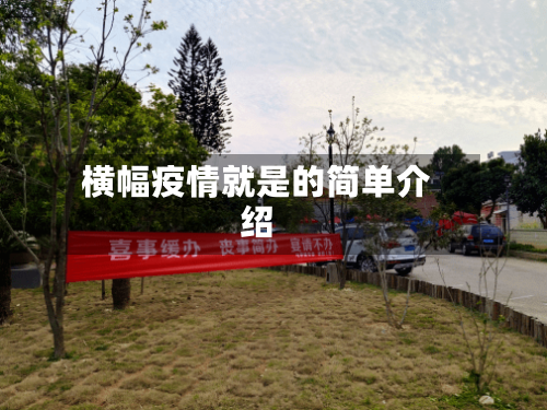 横幅疫情就是的简单介绍