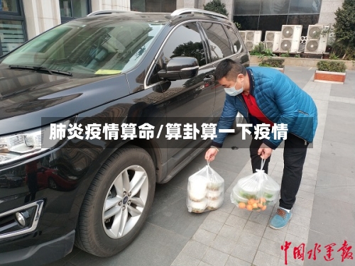 肺炎疫情算命/算卦算一下疫情-第3张图片