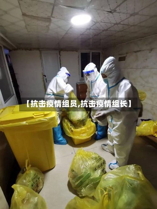 【抗击疫情组员,抗击疫情组长】-第3张图片