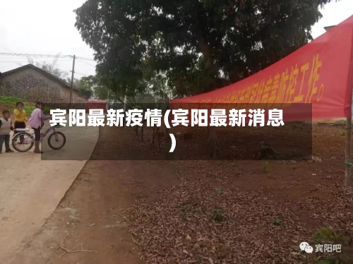 宾阳最新疫情(宾阳最新消息)-第2张图片