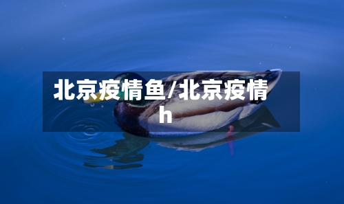 北京疫情鱼/北京疫情h