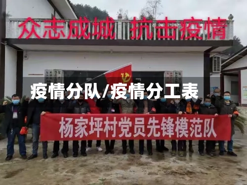 疫情分队/疫情分工表-第3张图片