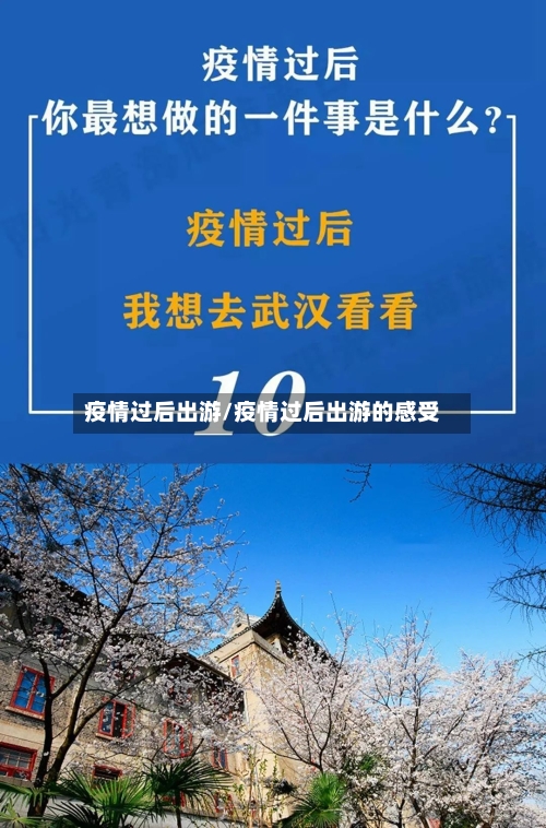 疫情过后出游/疫情过后出游的感受-第3张图片