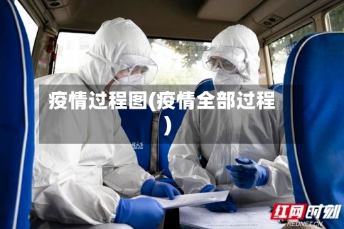 疫情过程图(疫情全部过程)-第3张图片