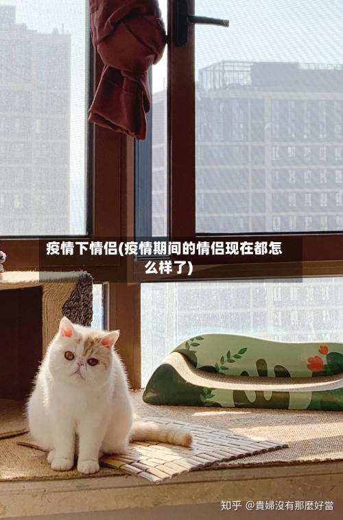 疫情下情侣(疫情期间的情侣现在都怎么样了)-第2张图片