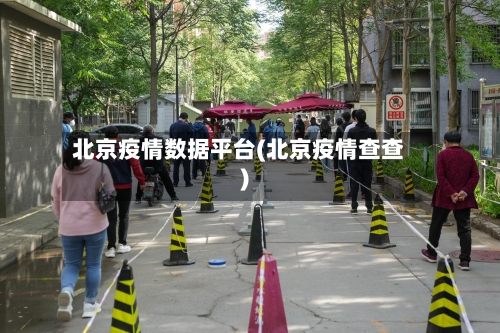 北京疫情数据平台(北京疫情查查)