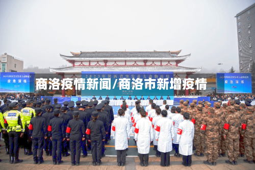 商洛疫情新闻/商洛市新增疫情