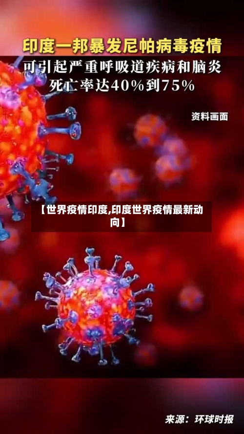 【世界疫情印度,印度世界疫情最新动向】-第2张图片
