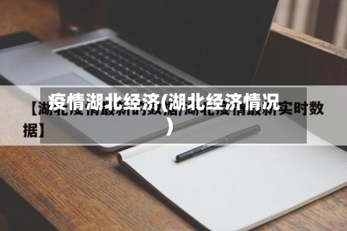疫情湖北经济(湖北经济情况)
