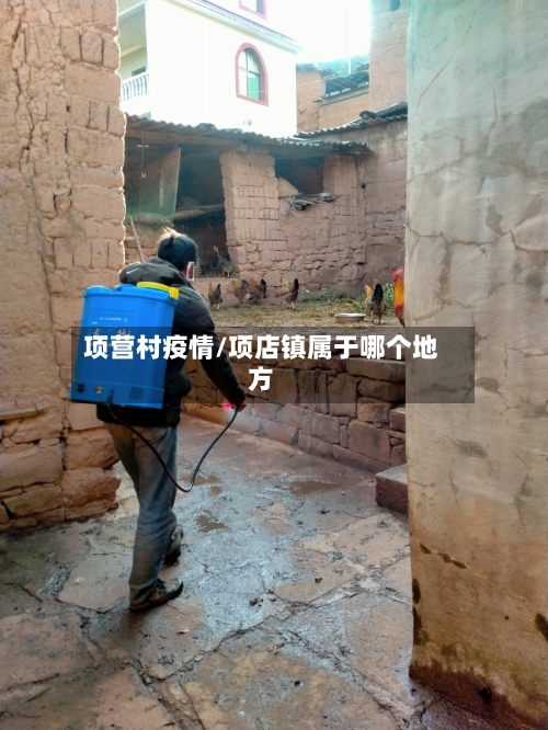 项营村疫情/项店镇属于哪个地方-第2张图片