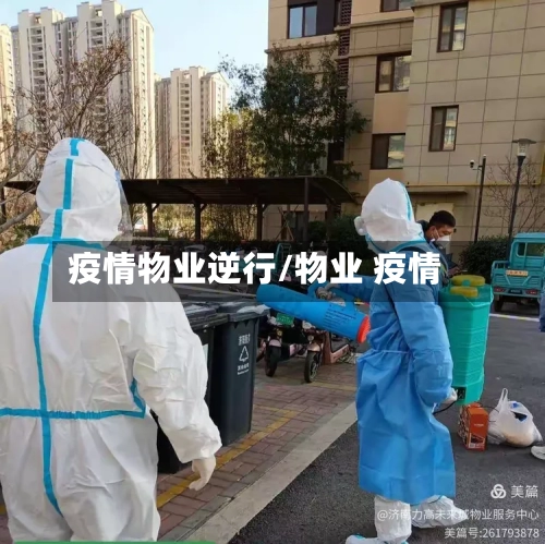 疫情物业逆行/物业 疫情