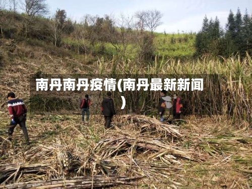 南丹南丹疫情(南丹最新新闻)