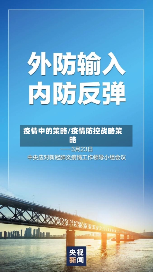疫情中的策略/疫情防控战略策略