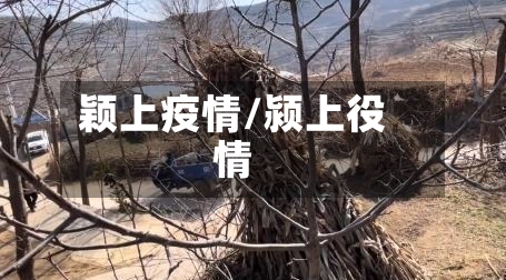 颖上疫情/颍上役情-第2张图片