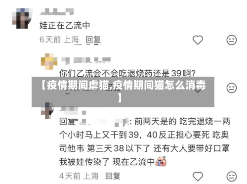 【疫情期间虐猫,疫情期间猫怎么消毒】