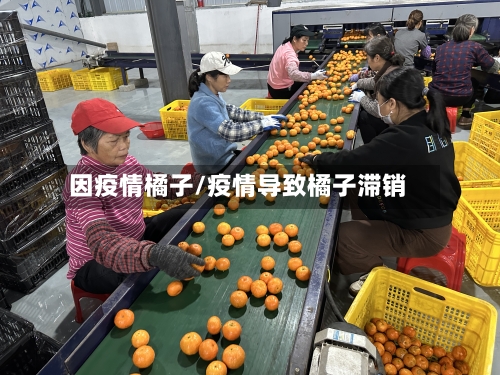 因疫情橘子/疫情导致橘子滞销