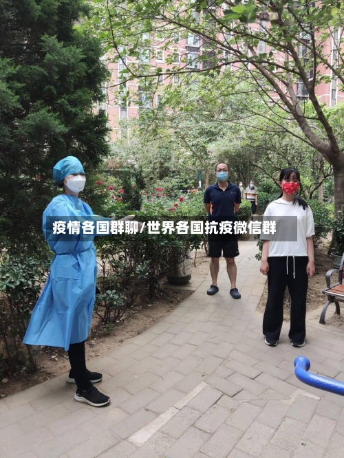 疫情各国群聊/世界各国抗疫微信群-第2张图片