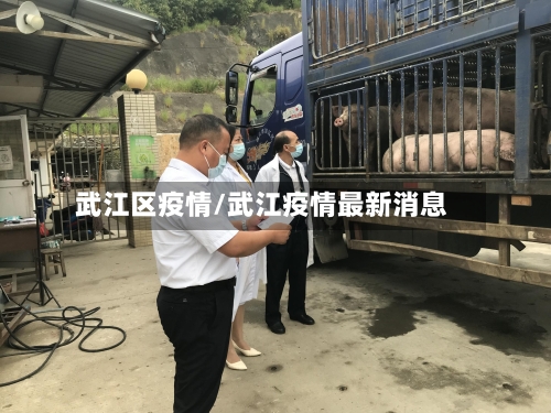 武江区疫情/武江疫情最新消息