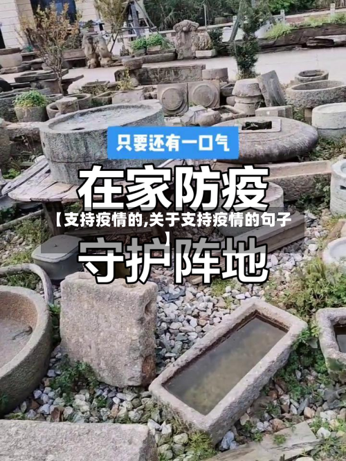 【支持疫情的,关于支持疫情的句子】