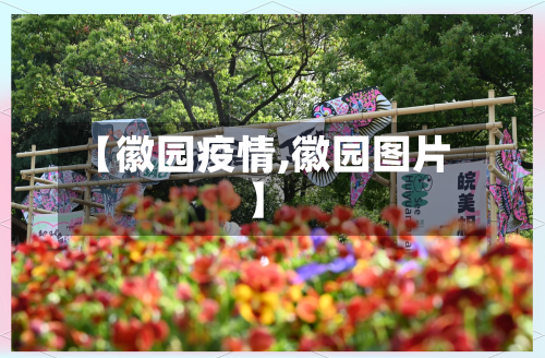 【徽园疫情,徽园图片】